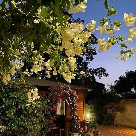 B&B Il Girasole Sant'Anna Arresi Exterior photo