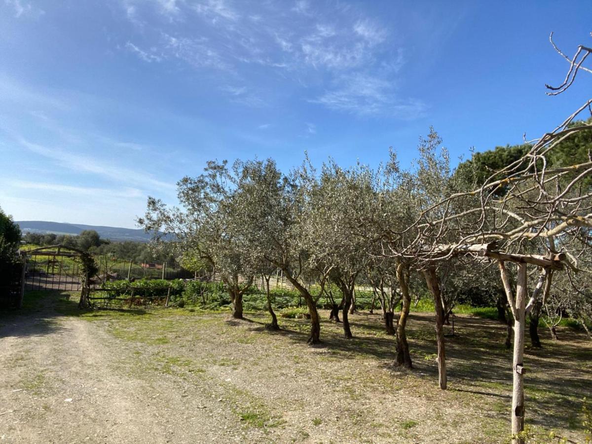 B&B Il Girasole Sant'Anna Arresi Exterior photo