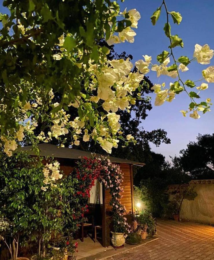 B&B Il Girasole Sant'Anna Arresi Exterior photo