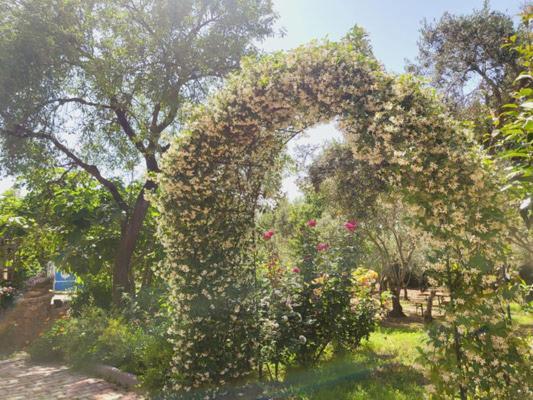 B&B Il Girasole Sant'Anna Arresi Exterior photo
