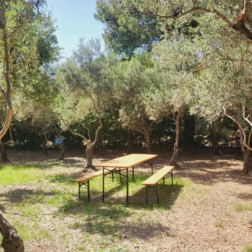 B&B Il Girasole Sant'Anna Arresi Exterior photo